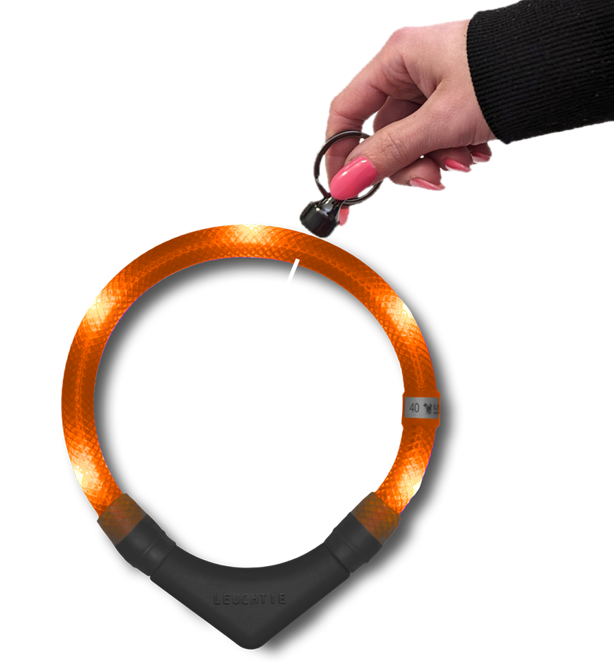 LEUCHITE function of the magnetic sensor