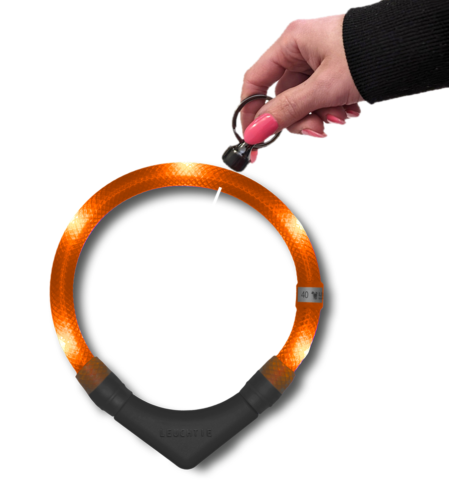 LEUCHTIE Funktionsweise des Magnetsensor