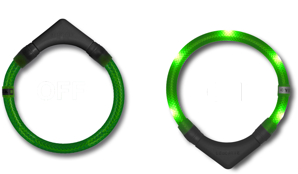 LEUCHITE function of the motion sensor
