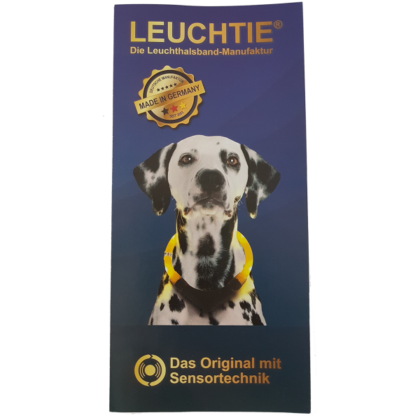 Flyer 20 St&uuml;ck