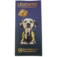 Flyer 20 St&uuml;ck