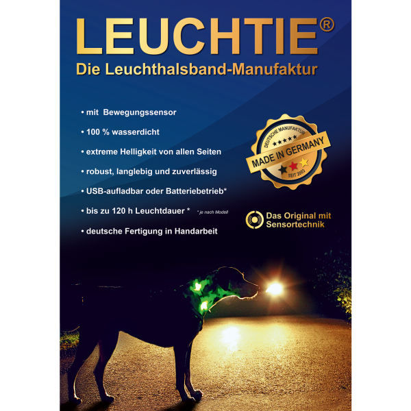 Info Poster
